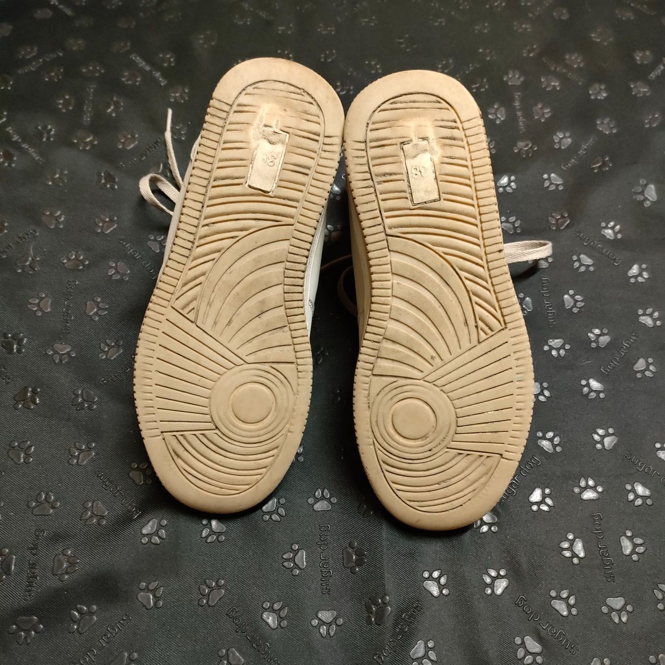 Scarpe da donna: Schuhe Gr.38 Lejon – Usato da Adelboden venduto da Lammhult 3