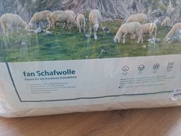 neues Schafwollkissen 50/70cm