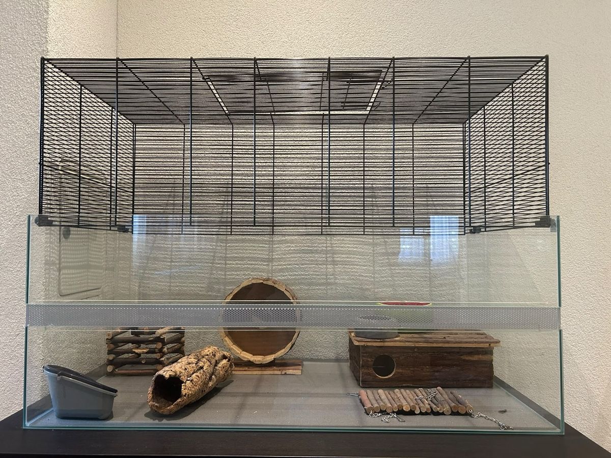 Käfige, Transport & Sicherheit: Hamsterkäfig aus Glas ,gute zu stand  – Gebraucht aus Glattfelden von nur_xpw6
