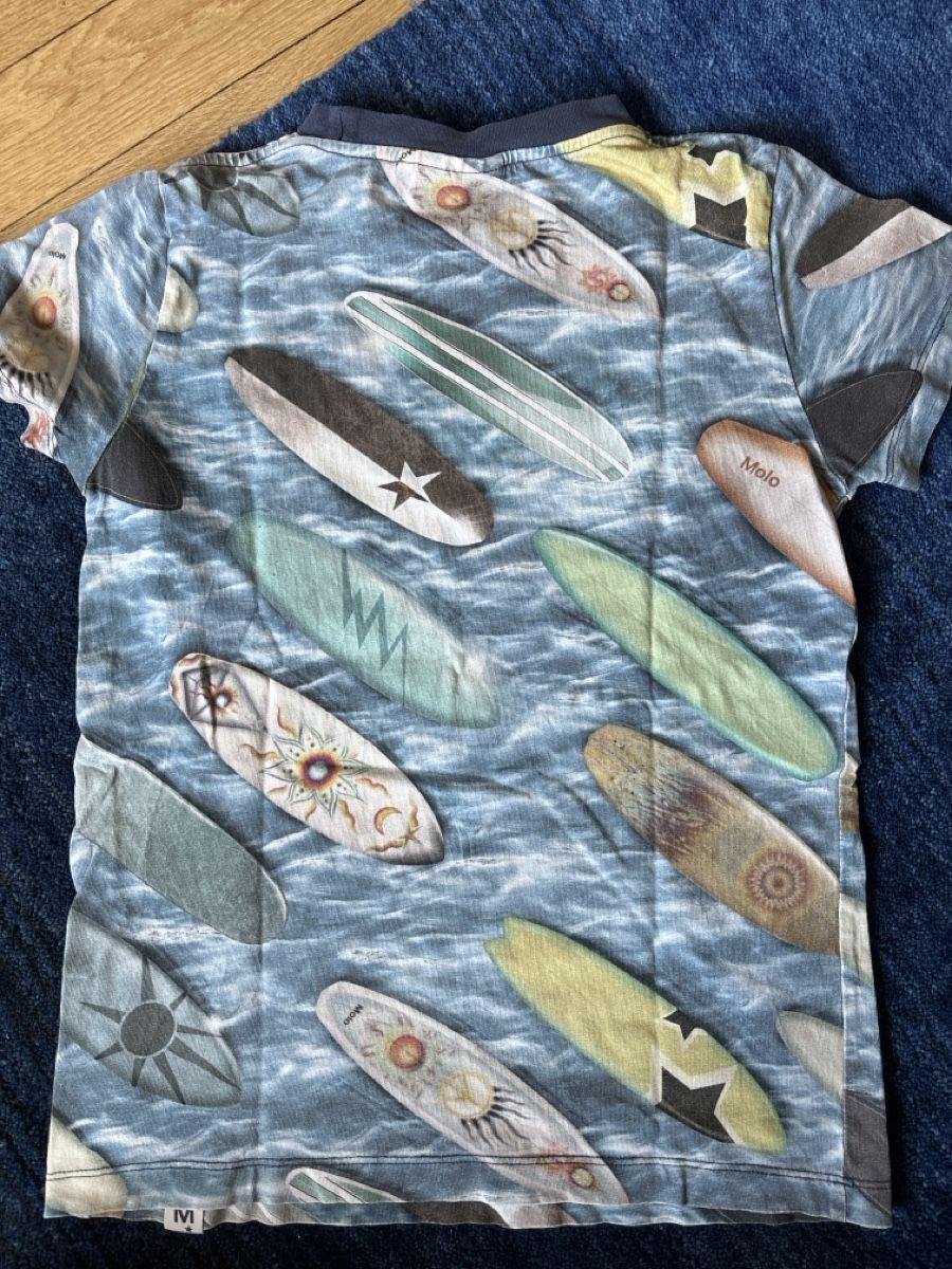 Molo Hemden, T-Shirts & Polos: Molo Tshirt Gr 140 – Gebraucht aus Liebefeld von nurseli 1