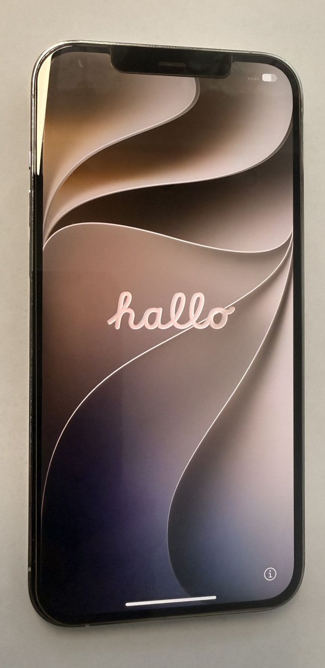 Apple Telefoni cellulari / Smartphones: IPhone 12 Pro max 256GB – Usato da Horgen venduto da Dandub