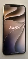 IPhone 12 Pro max 256GB
