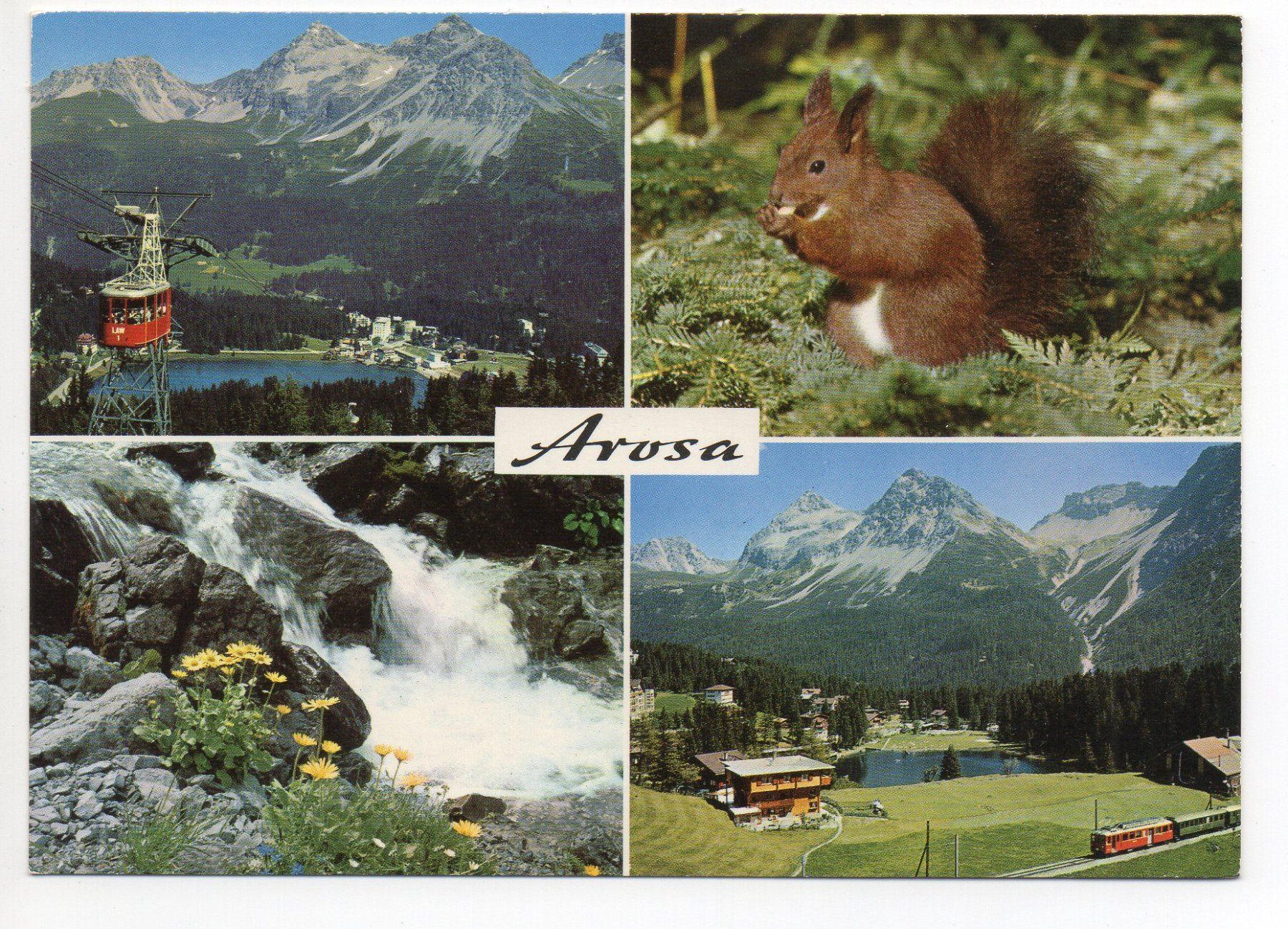Cartoline postali: AROSA Luftseilbahn - Chur-Arosa-Bahn – Nuovo (secondo la descrizione) da Jona venduto da philajona