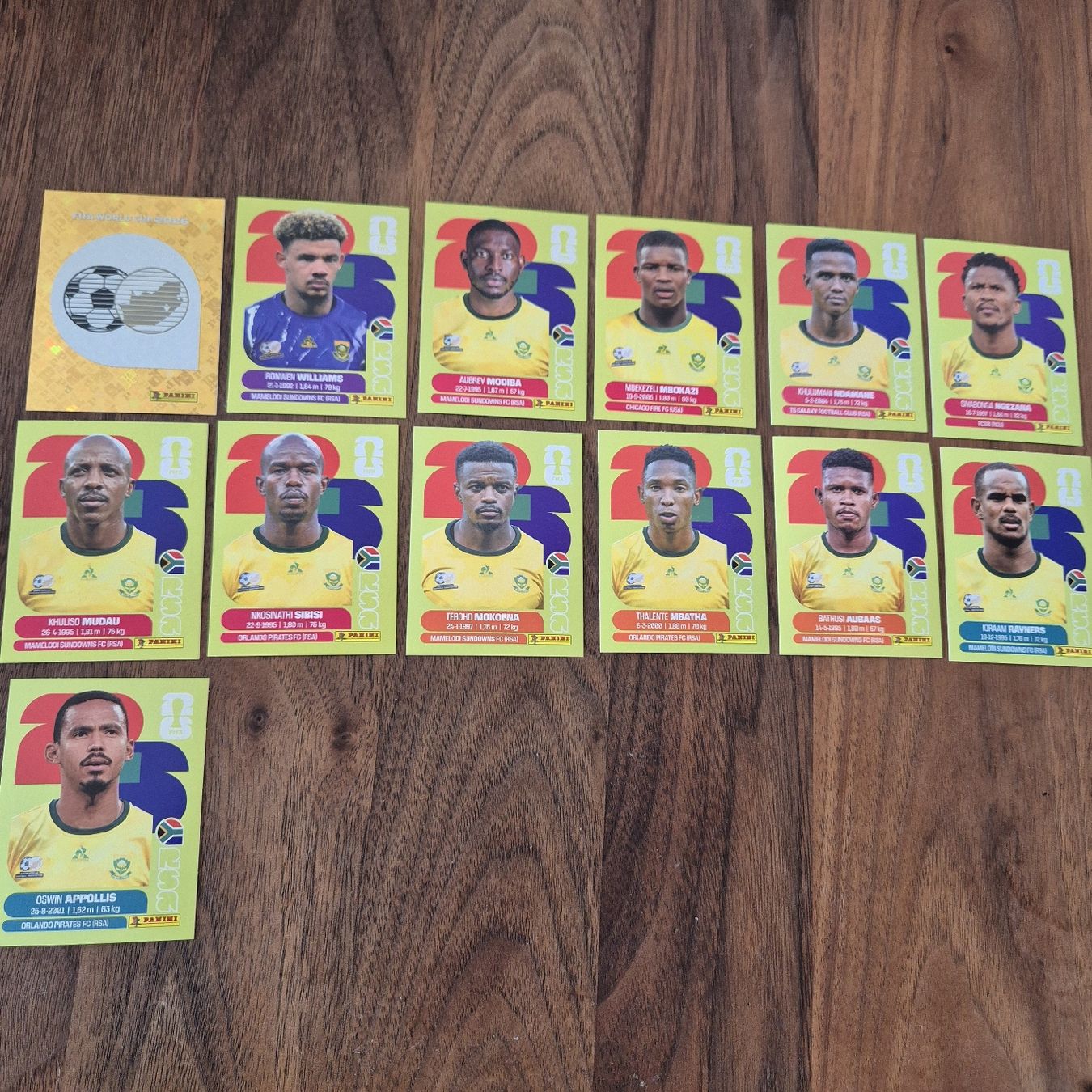 Panini Carte collezionabili: Panini Sticker Südafrika 2026 13 Stk – Nuovo (secondo la descrizione) da Zürich venduto da S1997