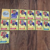 Panini Sticker Südafrika 2026 13 Stk