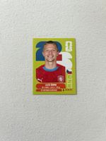Panini CZE 11