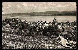 AK Grandson, Ortsansicht mit Weinbergen und See