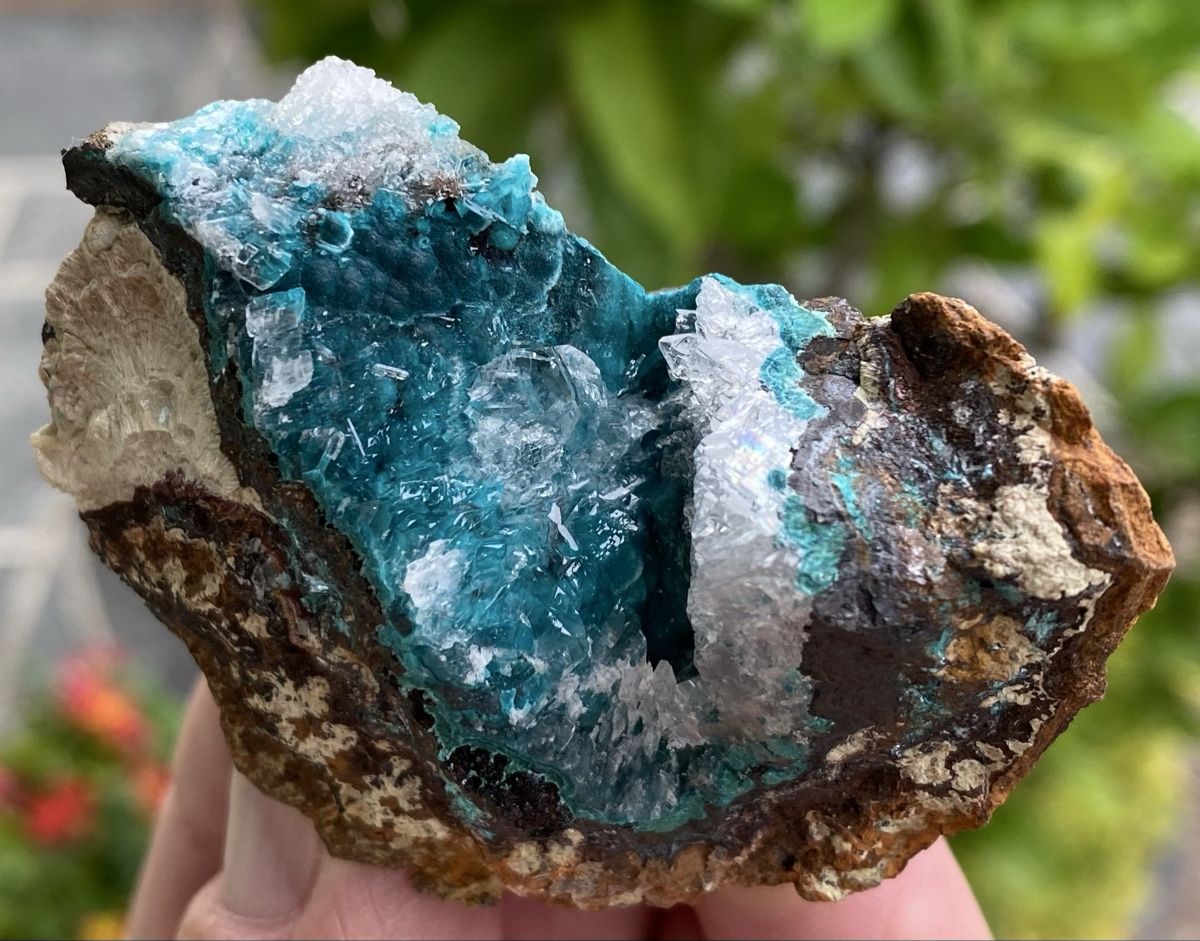 Mineralien & Heilsteine: Schöner Chrysokoll mit Calcit  – Gebraucht aus Selzach von 321compac 8