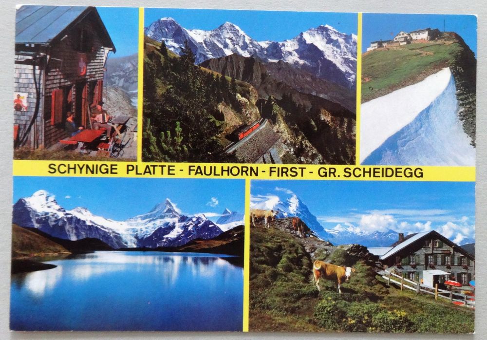 Schynige Platte-Faulhorn-First-Gr. Scheidegg | Kaufen auf Ricardo