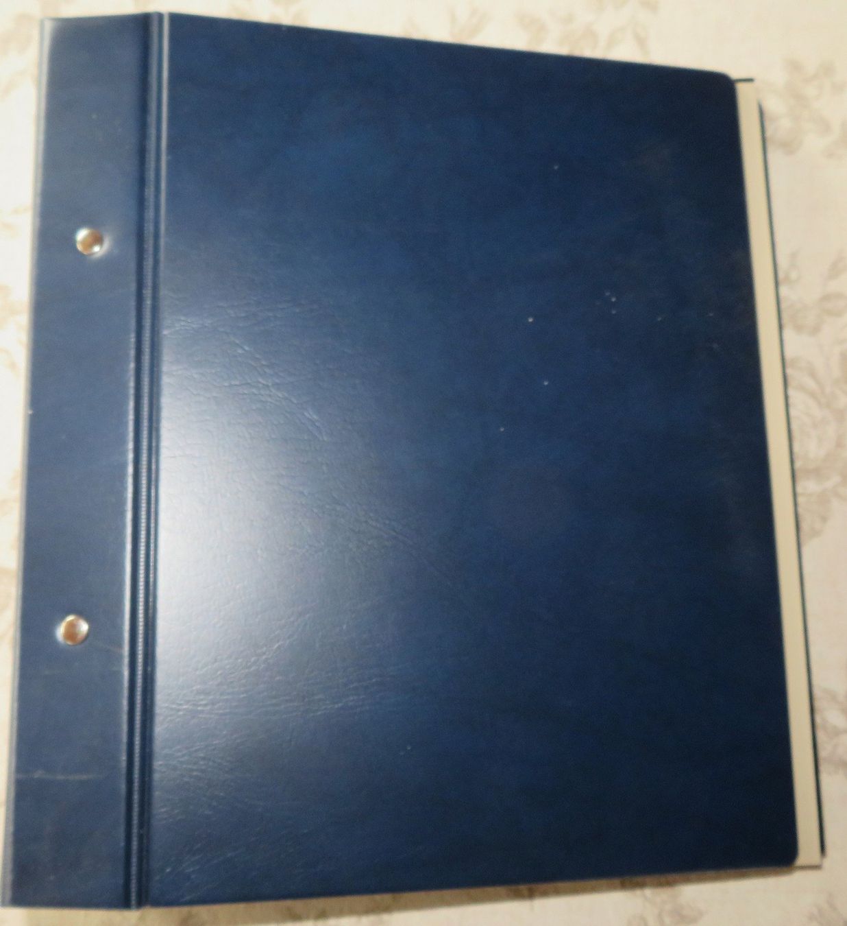 Safe Album: Briefmarkenalbum blau Safe – Usato da Hirschthal venduto da moelu2