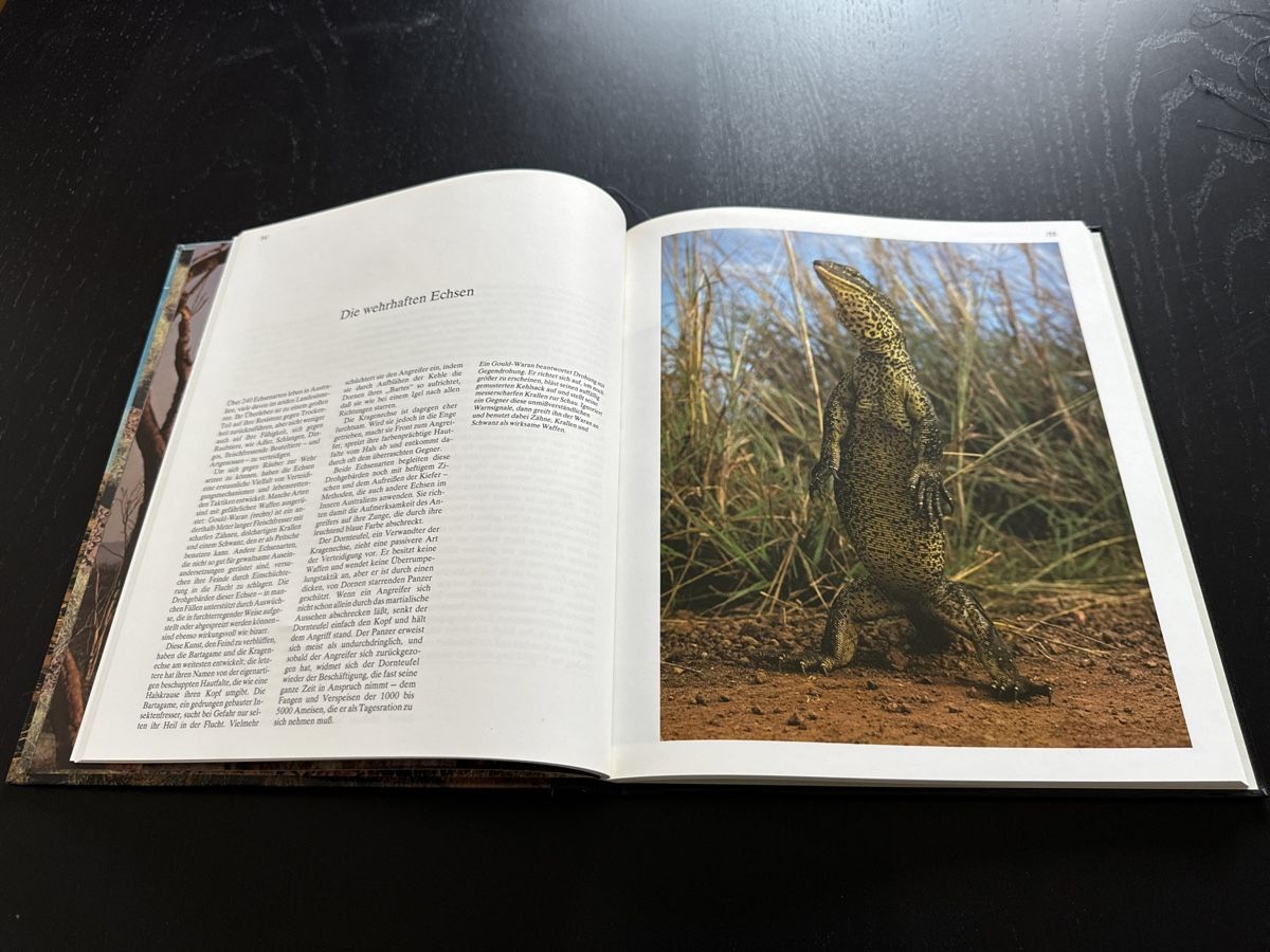 Libri: Der australische Busch – Usato da Erstfeld venduto da Uhu1980 2