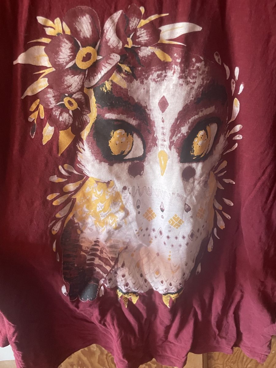 H&M T-shirt: Langarm T-Shirt mit Eule – Nuovo (secondo la descrizione) da Lenk im Simmental venduto da banane50626 2