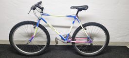 Cilo City Herren Velo 26" Gratis Lieferung