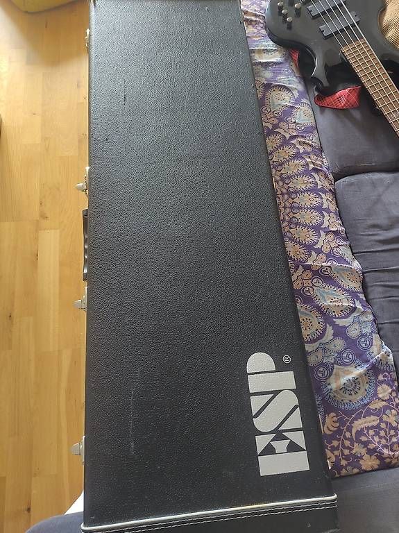 Strumenti musicali: E-Bass ESP LTD – Usato da Bern venduto da Sev20061996 3