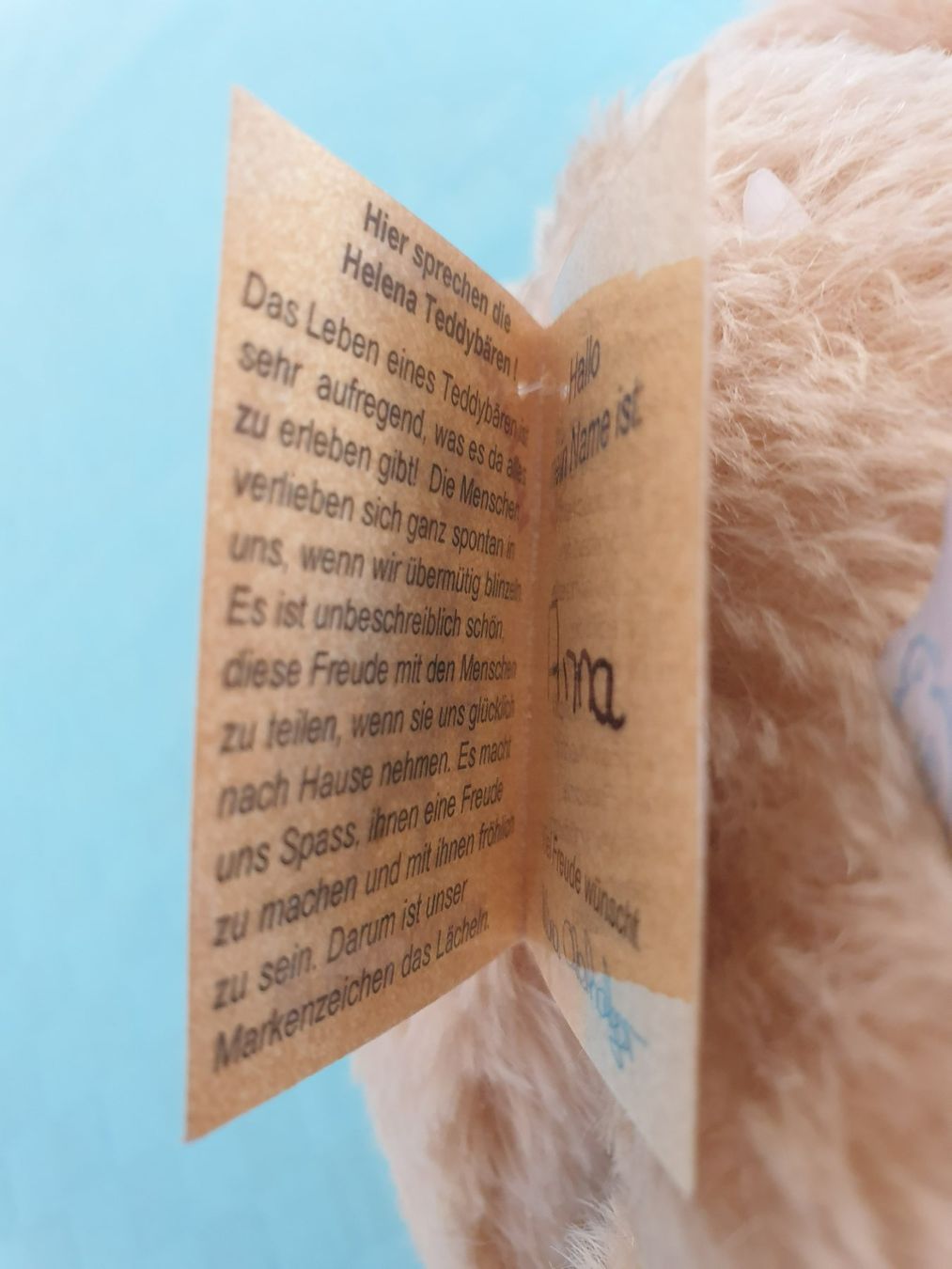 Giocattoli: Teddybär Teddy Helena Oberholzer Anna – Usato da Mörschwil venduto da spirspi 7
