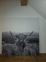 Wandbild Highlandrind Leinwandbild 90x90 cm schwarz weiss