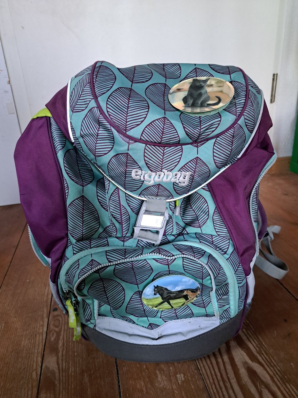Ergobag Kindertaschen: Ergobag Schulrucksack – Gebraucht aus Winterthur von Zuffel