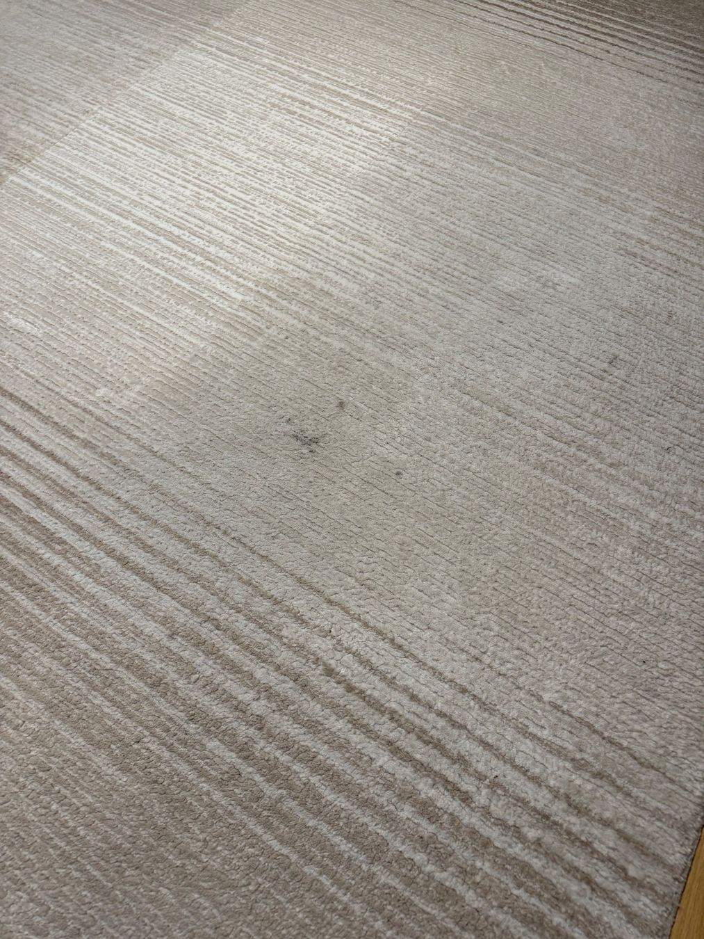 Tappeti: Teppich 200x290 – Usato da Landquart venduto da Fisch0004 5