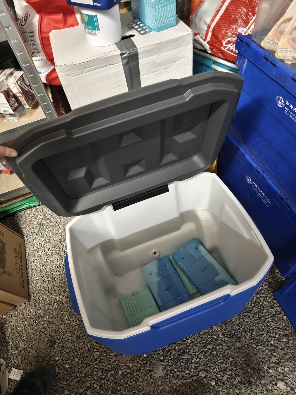 Coleman Frigoriferi & Refrigeratori: Coleman Kühlbox auf Rädern – Usato da zürich venduto da saramarina 1