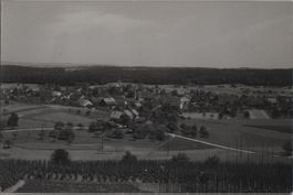 Henggart ZH  Flugaufnahme Nr.21 , ca.1939