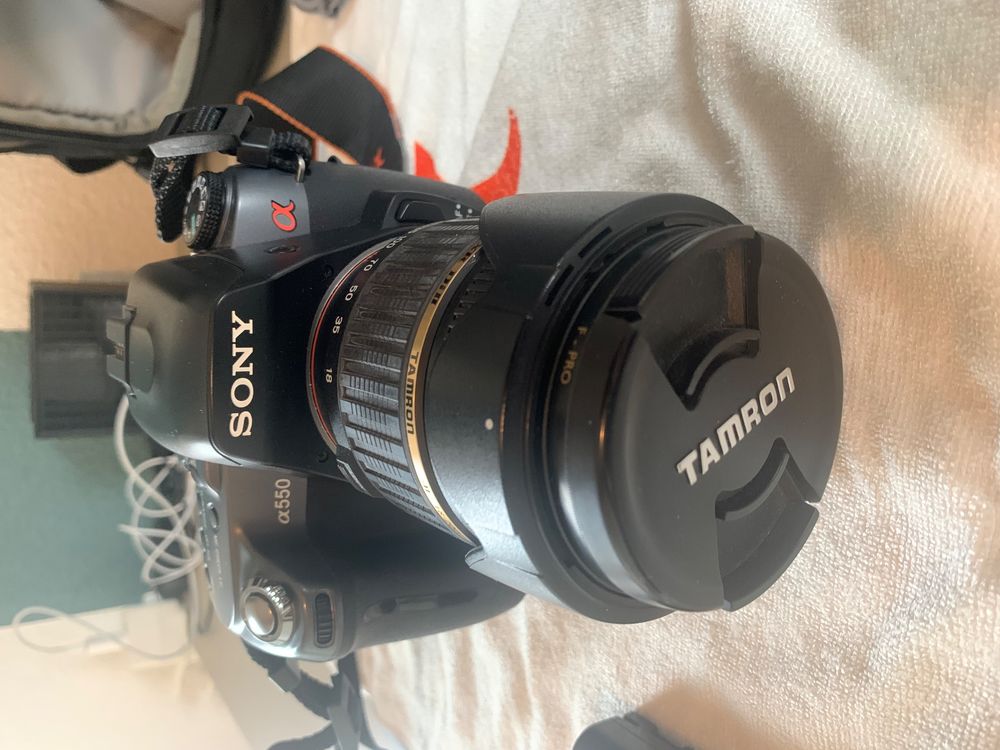 Sony Alpha 550 : premières images en haute sensibilité - Les Numériques