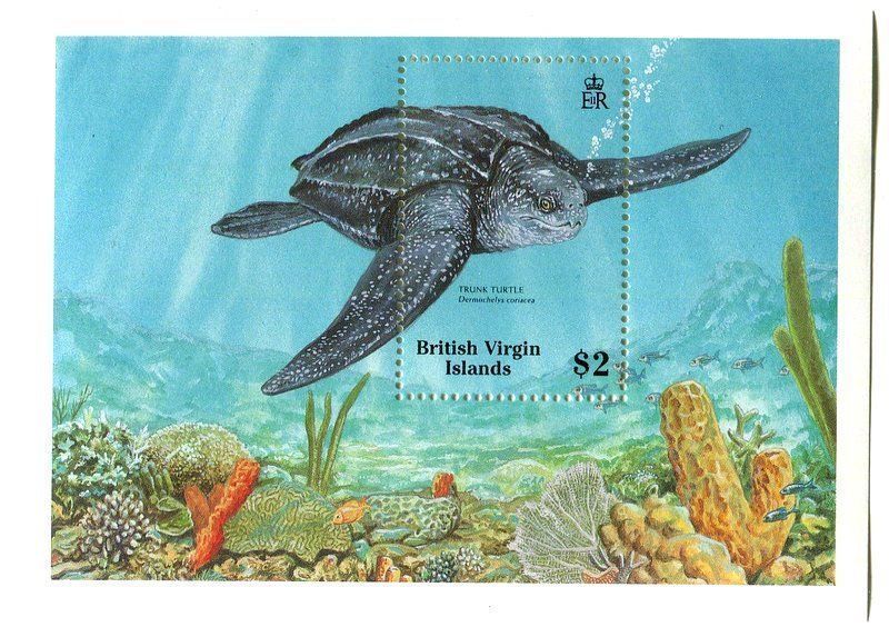 Tutti i francobolli: Block "Schildkröten". Britische Jungferninseln – Nuovo e nell'imballaggio originale da Basel venduto da Butsch5
