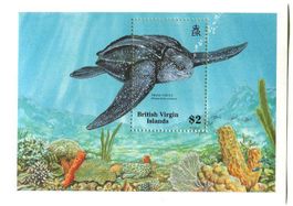 Block "Schildkröten". Britische Jungferninseln