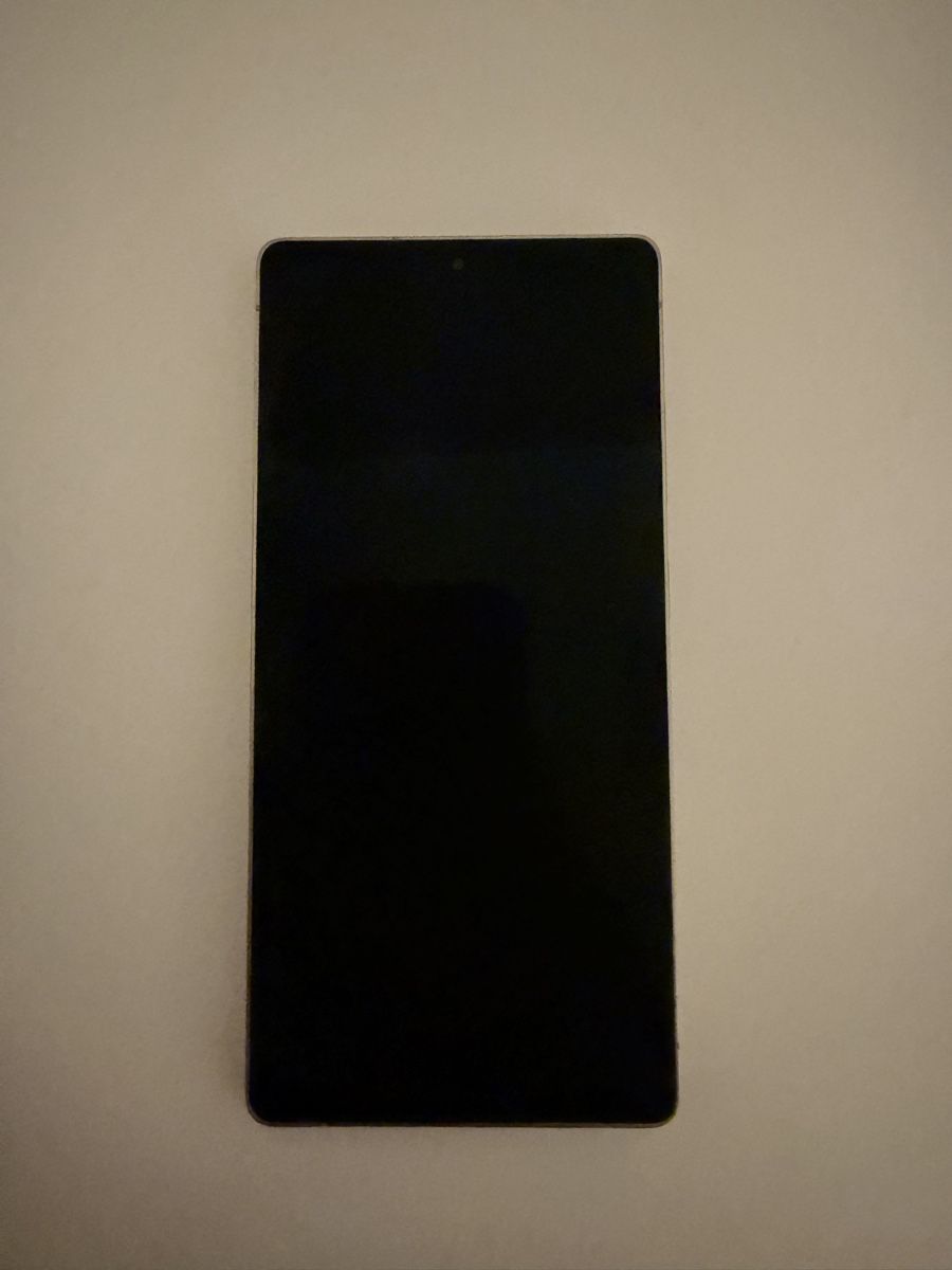 Samsung Telefoni cellulari / Smartphones: Samsung Galaxy S25 Ultra Titanium Grey – Usato da Greifensee venduto da qen_p9zj 1