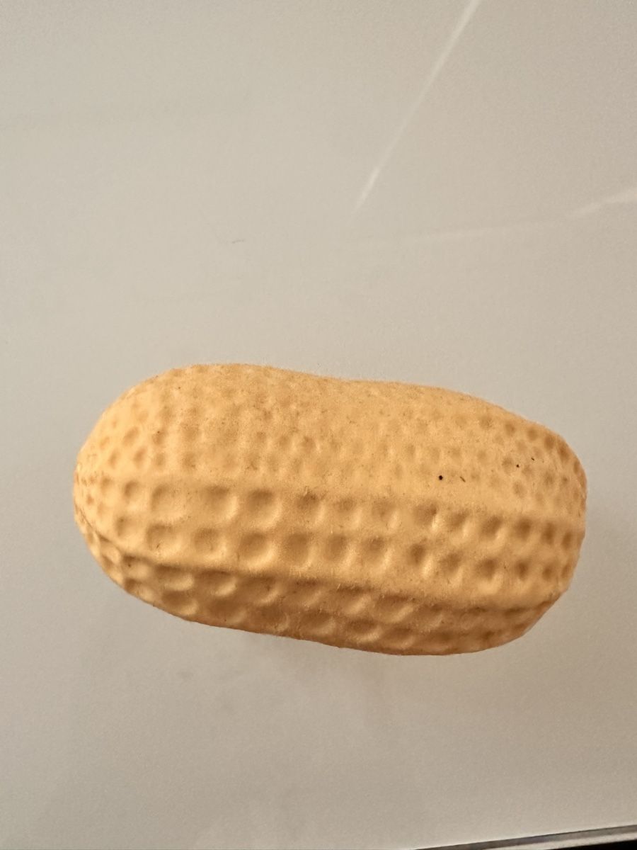 Spielzeuge: Erdnuss Squishy – Gebraucht aus Wil SG von Kardii 1