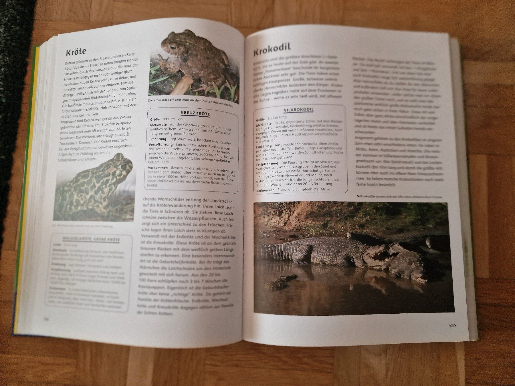 Libri: Tierlexikon Ravensburger – Nuovo (secondo la descrizione) da Bösingen venduto da Soene91 1