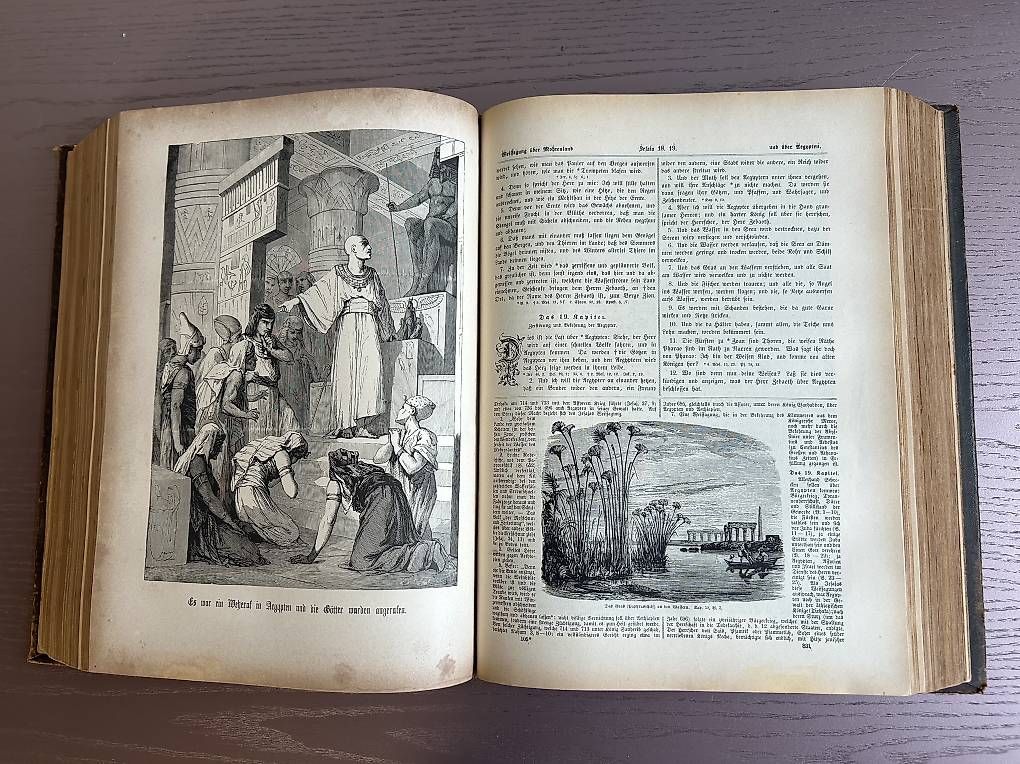Libri: Pracht Bibel 1862 – Usato da Bowil venduto da Tinner1 3