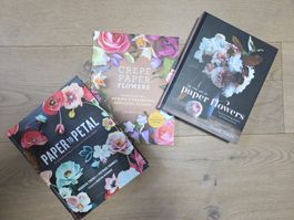 Bücher-Set DIY Papier Blumen Crepe Paper Flowers Kunst