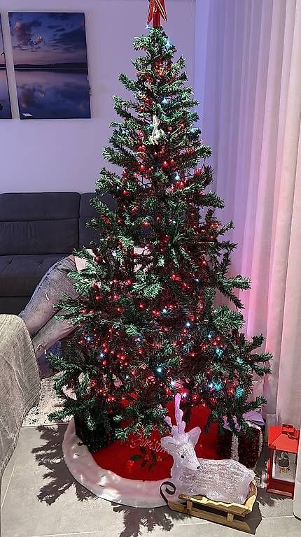 Tutte le decorazioni: Albero di Natale  – Usato da Cugnasco venduto da elisadg02 1