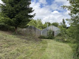 Glashaus Treibhaus Gewächshaus