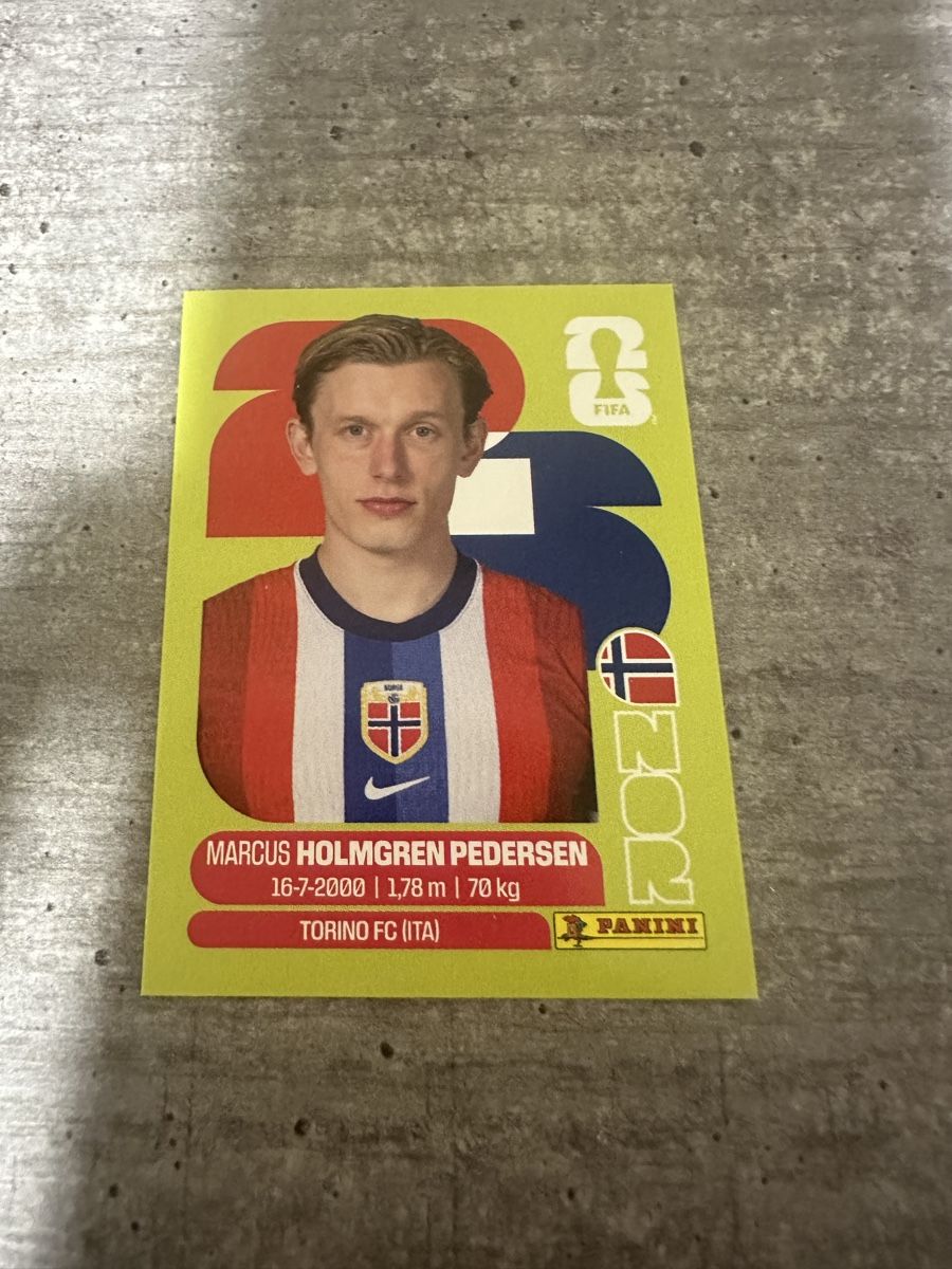 Panini Carte collezionabili: NOR 6 , FIFA WORLD CUP 2026 PANINI  – Nuovo (secondo la descrizione) da Frauenfeld venduto da 1PegPeg1