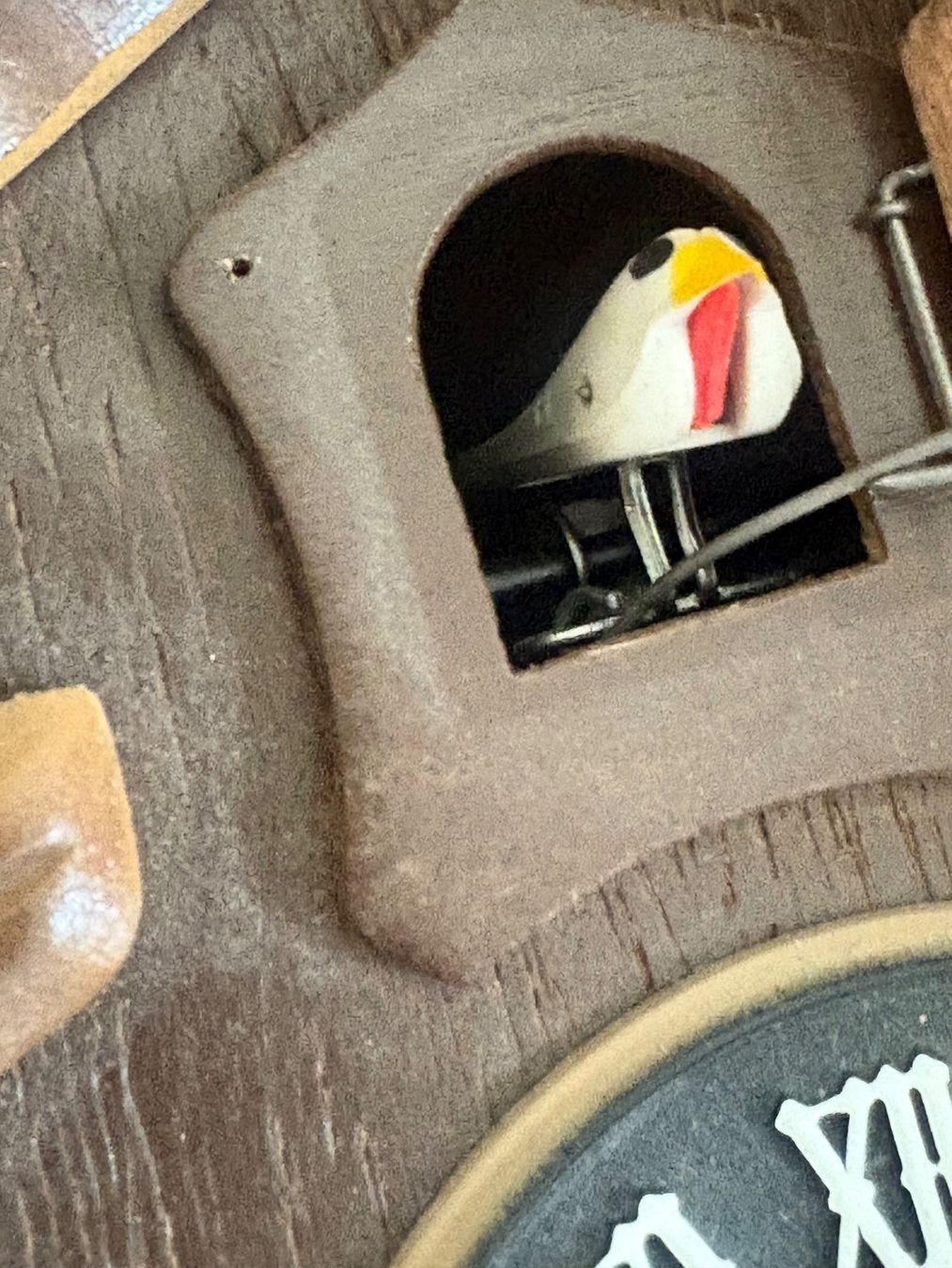 Orologi: Kuckucksuhr Holz mit Gewichten – Usato da Basel venduto da SG1973 2