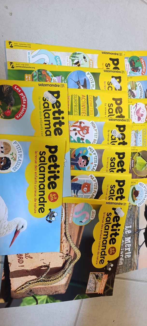 Libri: 15 livres "La petite salamandre" – Usato da Mont-la-Ville venduto da Ecu23hj 2