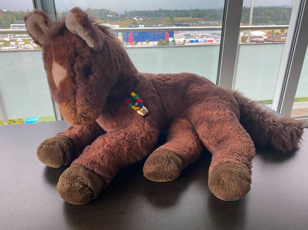 Giocattoli: Grosses Plüsch-Pony – Usato da Buchrain venduto da nic_9k5l