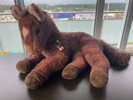 Grosses Plüsch-Pony