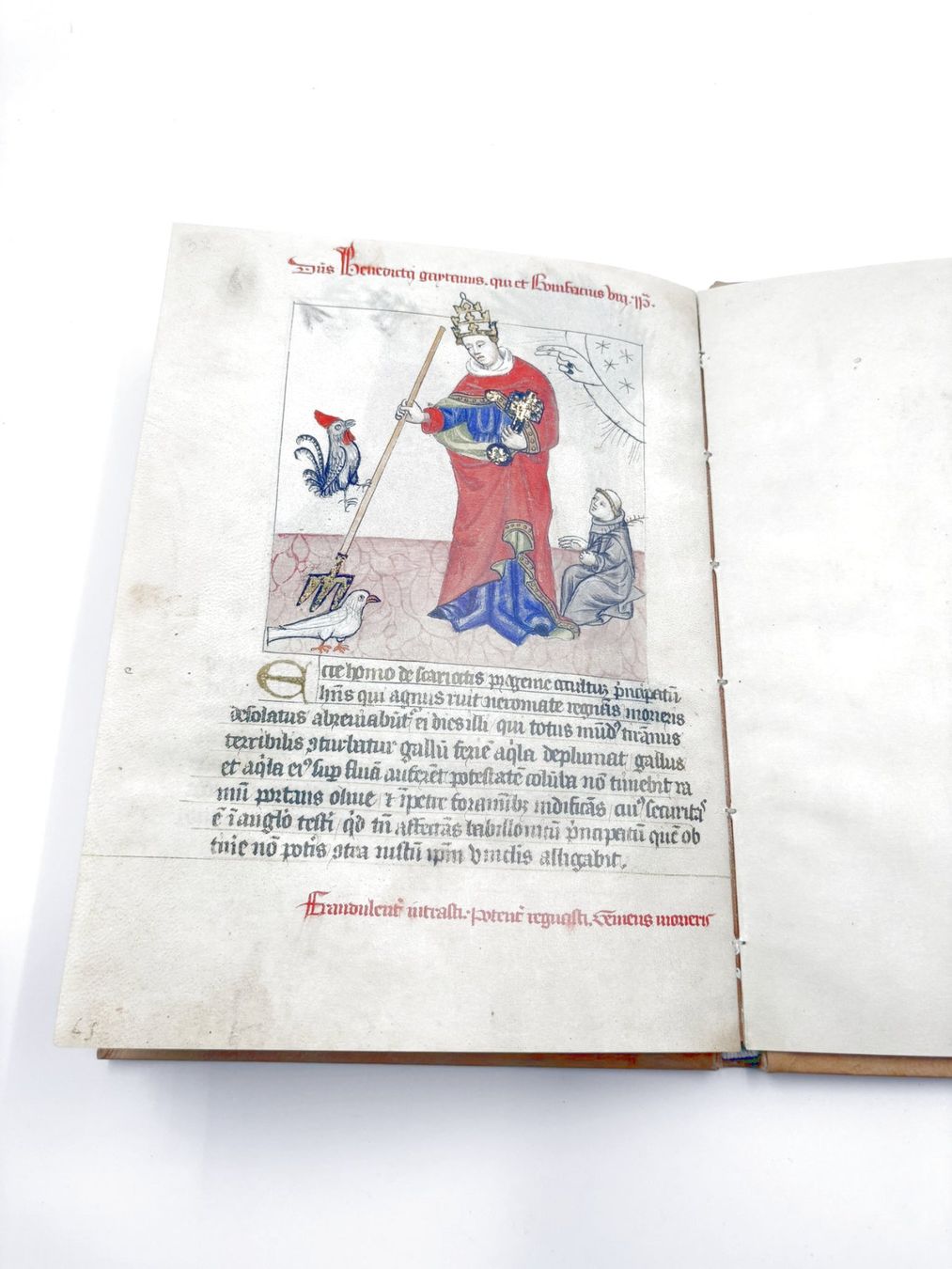 Libri: Vaticinia Pontificum, Faksimile – Nuovo (secondo la descrizione) da Hombrechtikon venduto da Bruenel 6