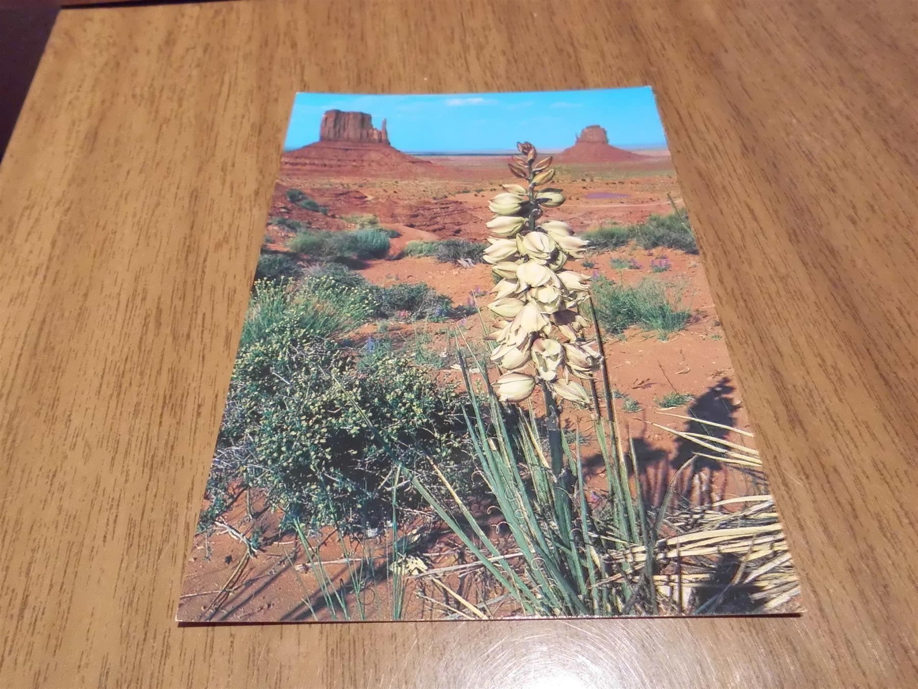 Cartes postales: Ansichtskarte Monument Valley, Utah S-30 – D'occasion à Zürich par Motzkuh