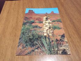 Ansichtskarte Monument Valley, Utah S-30