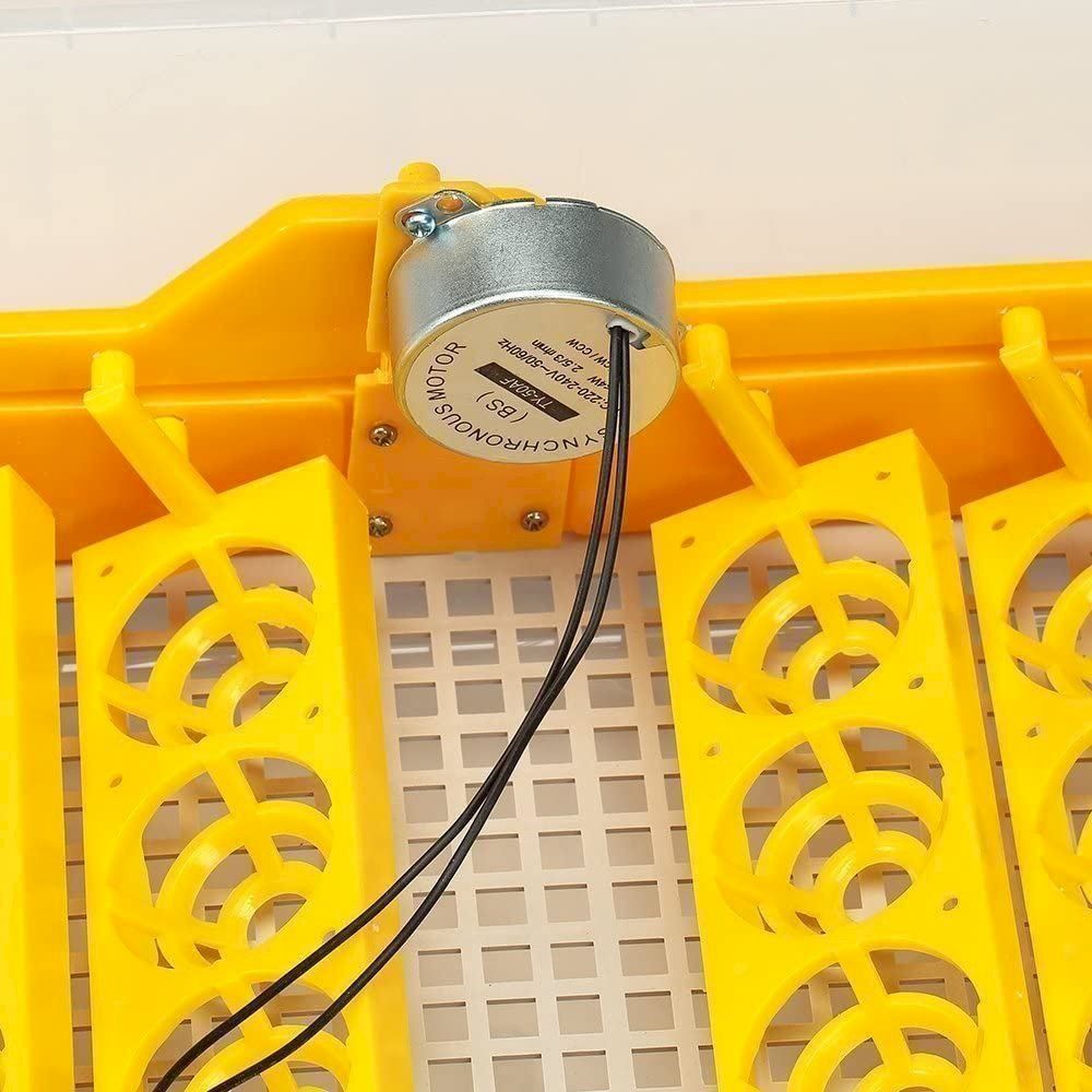 Autres accessoires pour animaux: Melko Inkubator Vollautomatisch 48 Eier – Neuf avec emballage d'origine à Bottighofen par zaap 5