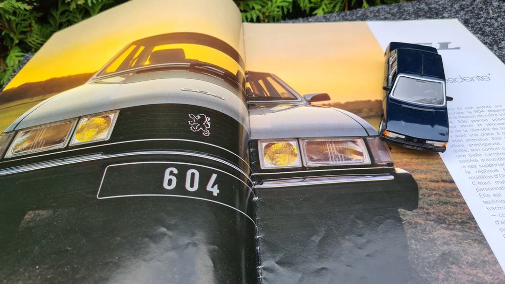 Peugeot 604 Kaufen auf Ricardo