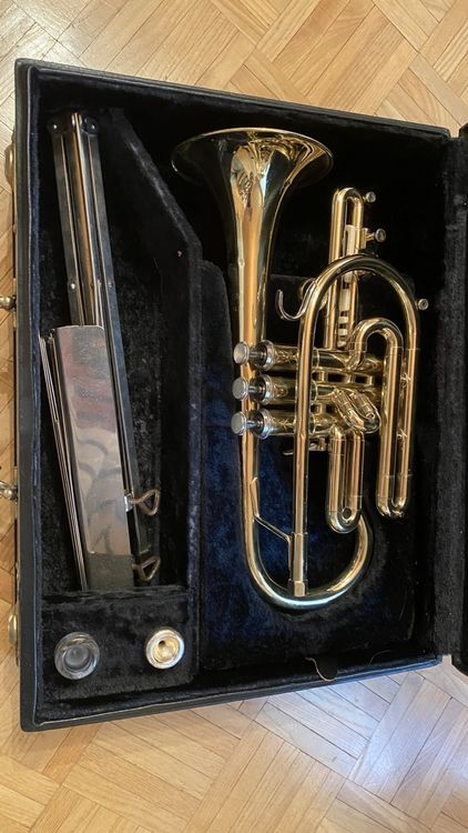 Kornett | Kaufen auf Ricardo