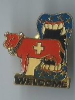 Placchette & Badge: Welcome Pin Swiss Souvenir – Usato da Zürich venduto da t24_de