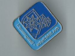 Klausengesellschaft Arth, Pin