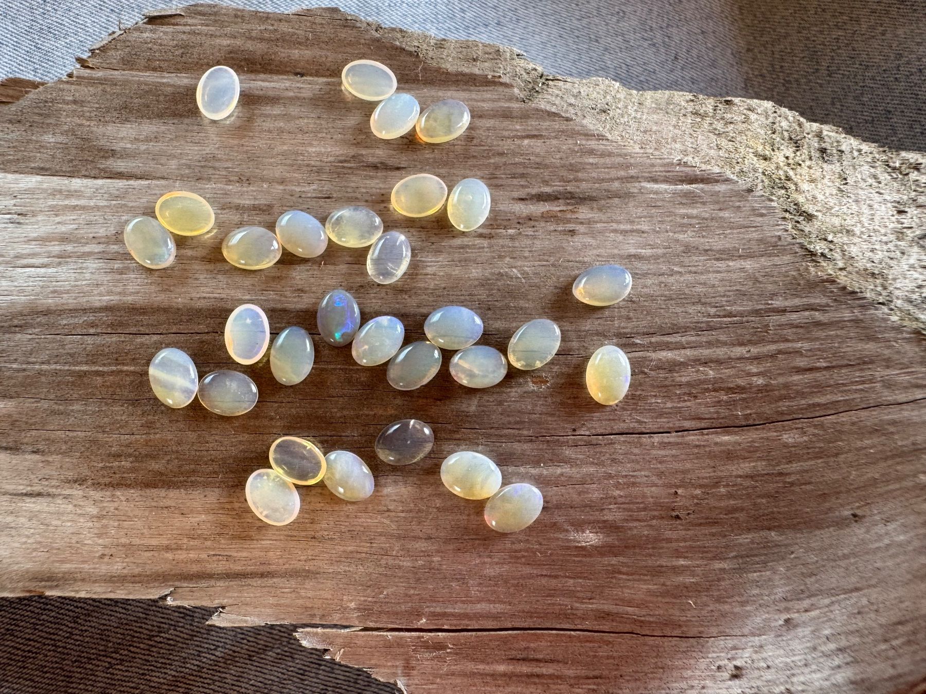 Fossili: 30 Stk  Cabochons Opal echt winzig neu   oval 5x7mm  solid – Nuovo e nell'imballaggio originale da Leuggern venduto da gemshow 7
