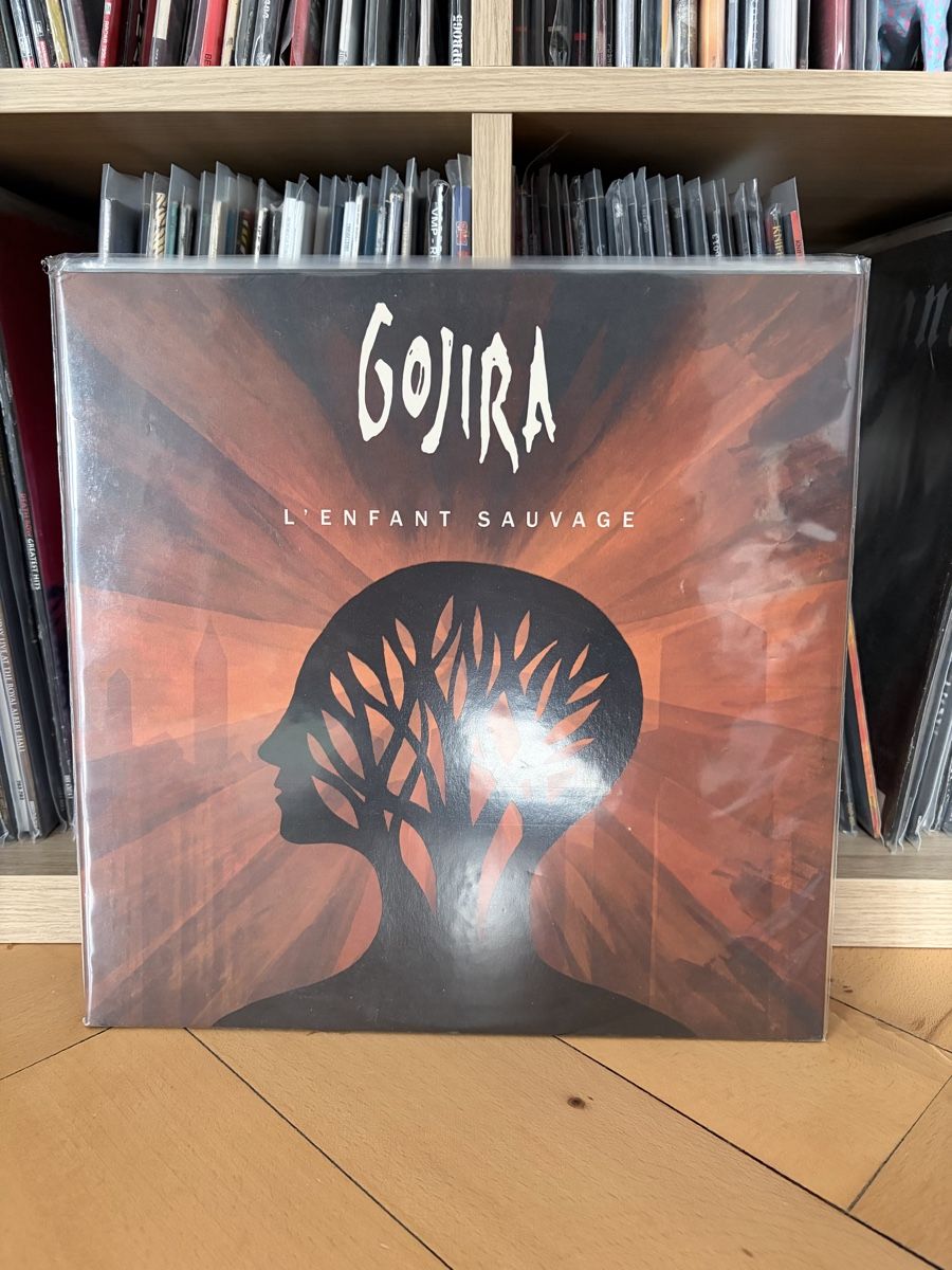 Dischi in vinile: GOJIRA – Usato da Zürich venduto da Jerome.G. 4