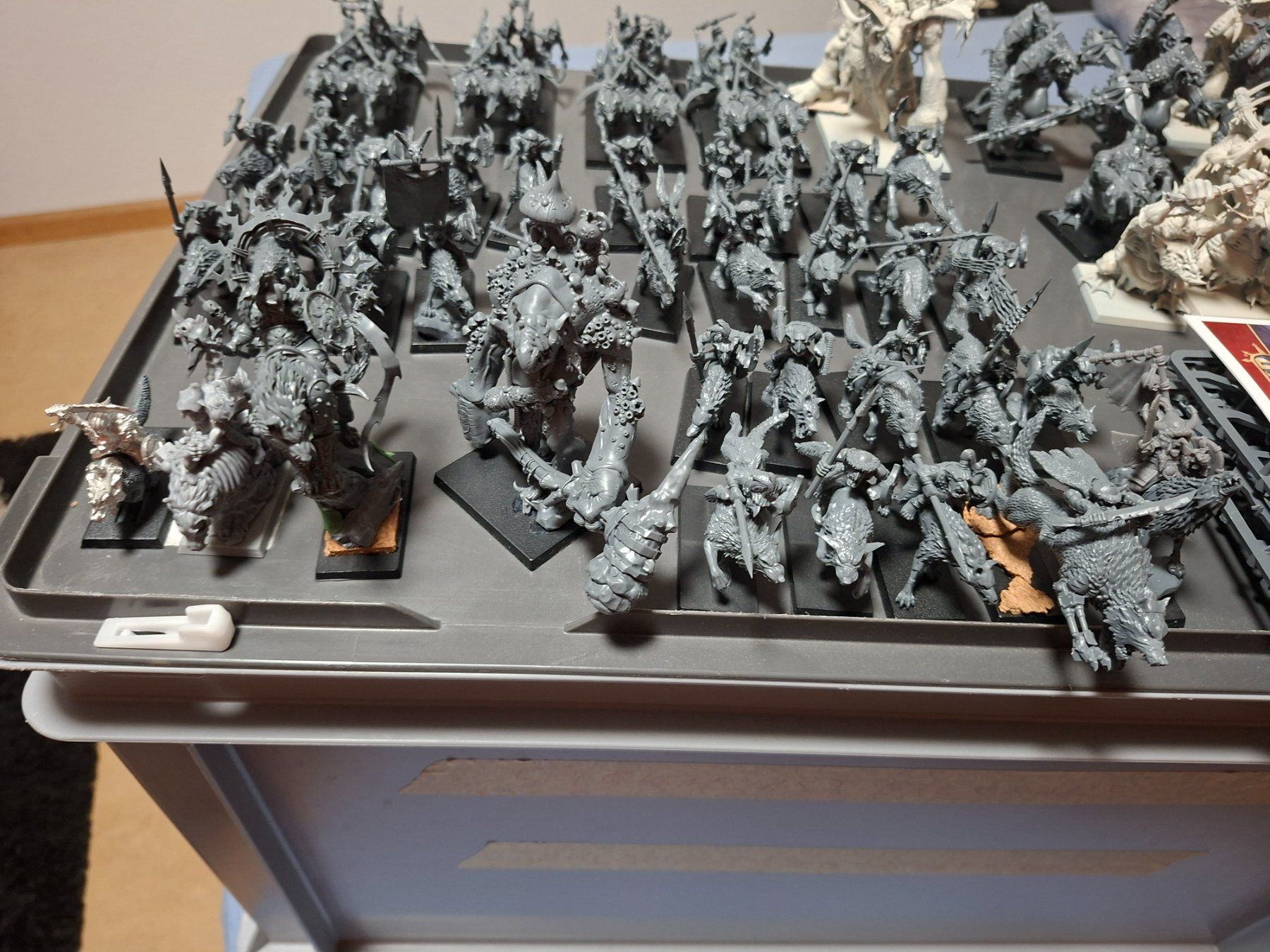 Statuette: Warhammer: The Old World Orc & Goblin Tribes Armee – Usato da Muttenz venduto da Summerjam93 2